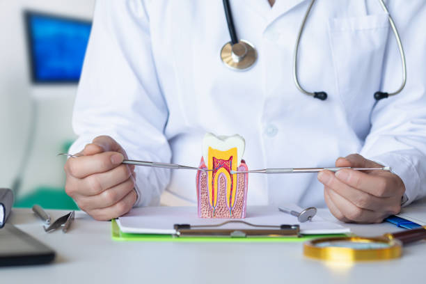 Best Walk-In Emergency Dentist in Rosemont, PA